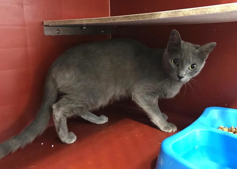 multimedia-foto60704-81-1