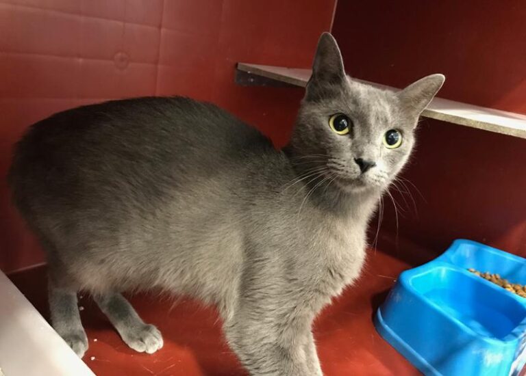 multimedia-foto60705-81-1