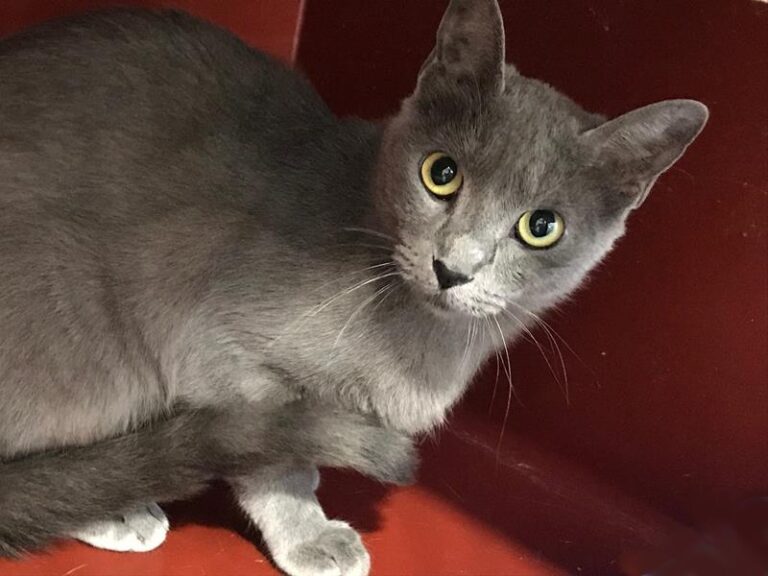 multimedia-foto60709-81-1