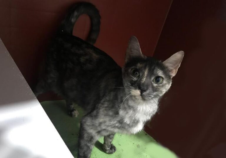 multimedia-foto60714-922-1