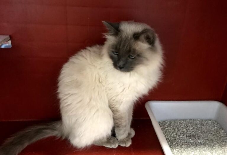 multimedia-foto60723-321-1