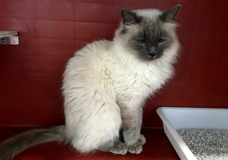 multimedia-foto60724-321-1