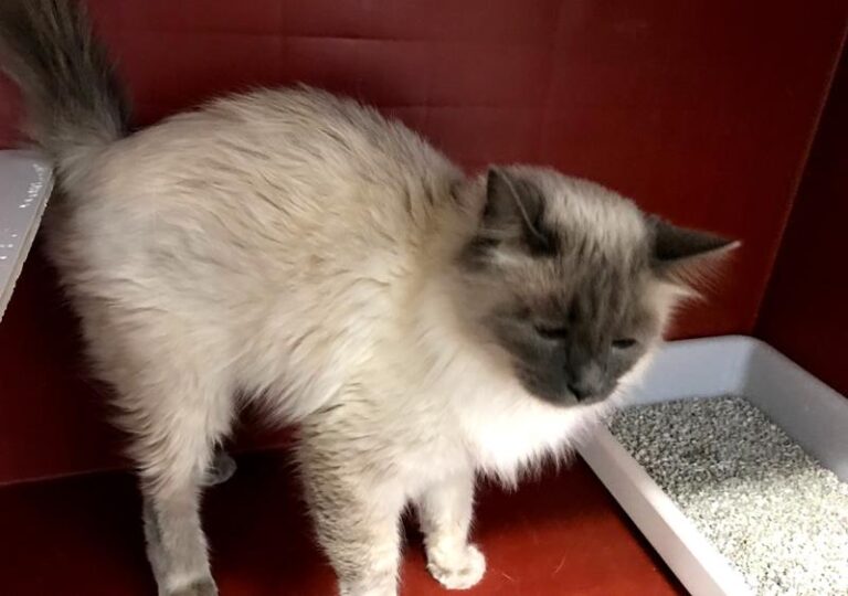 multimedia-foto60725-322-1