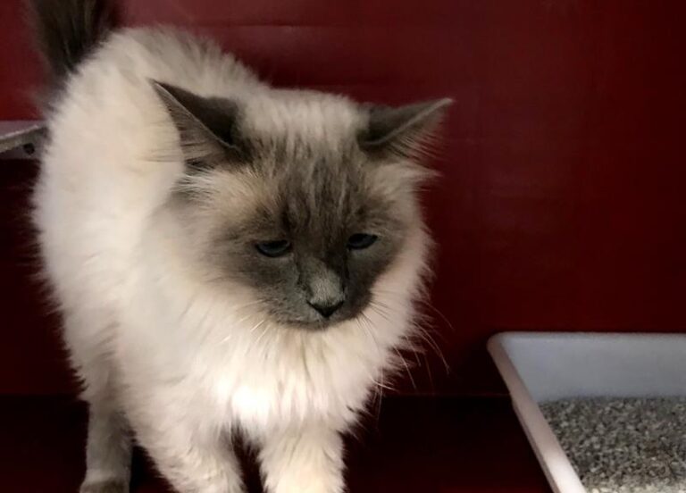 multimedia-foto60726-322-1