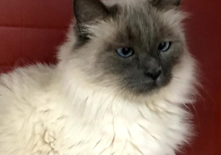 multimedia-foto60728-322-1