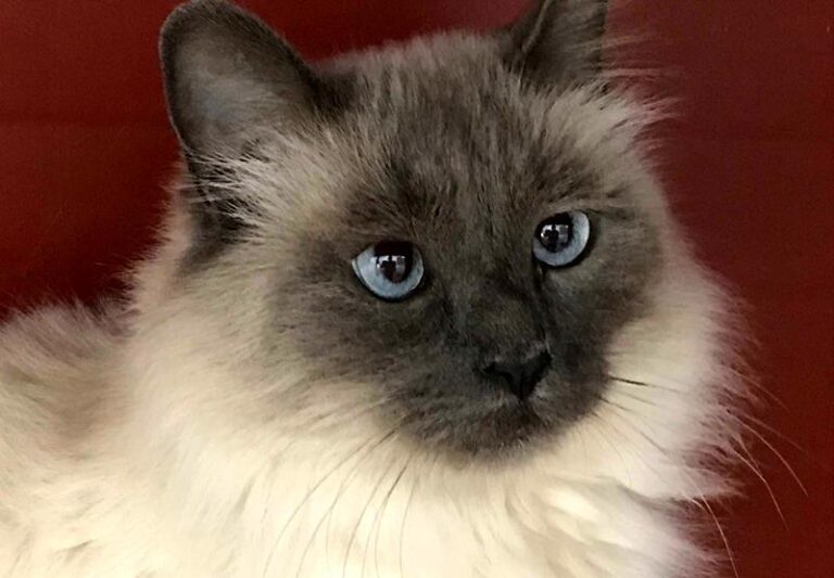 multimedia-foto60730-323-1