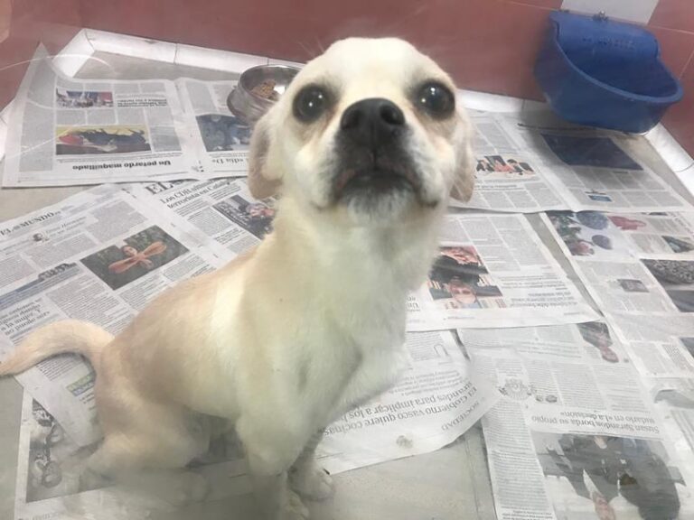 multimedia-foto60741-768-1