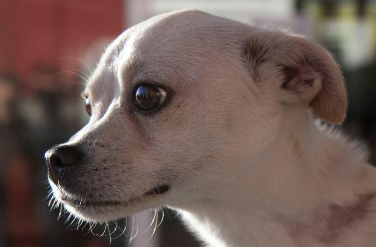 multimedia-foto60742-769-1