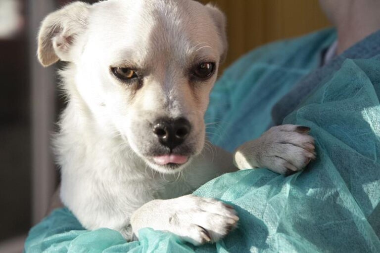 multimedia-foto60743-769-1