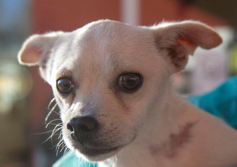 multimedia-foto60745-769-1