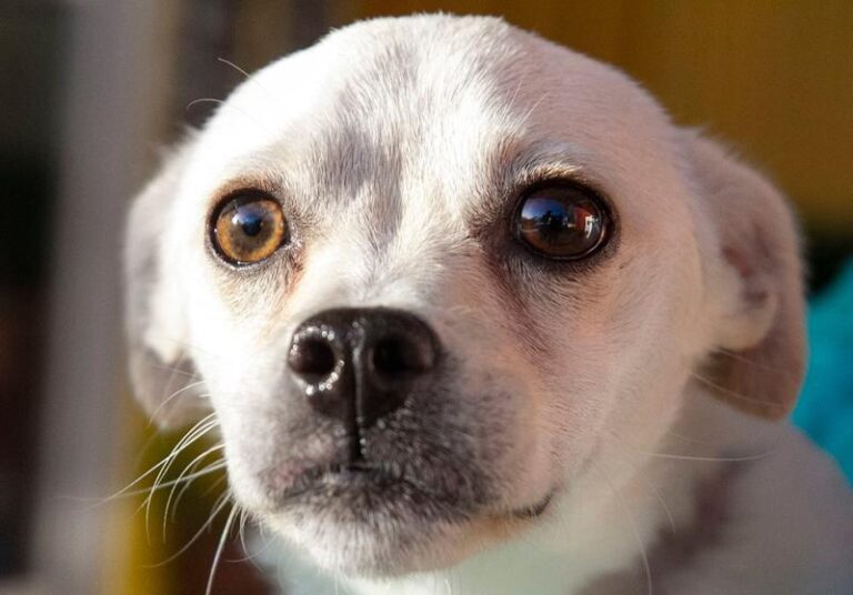 multimedia-foto60746-769-1