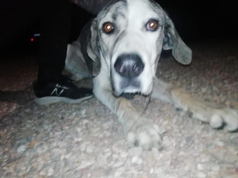 multimedia-foto60748-828-1