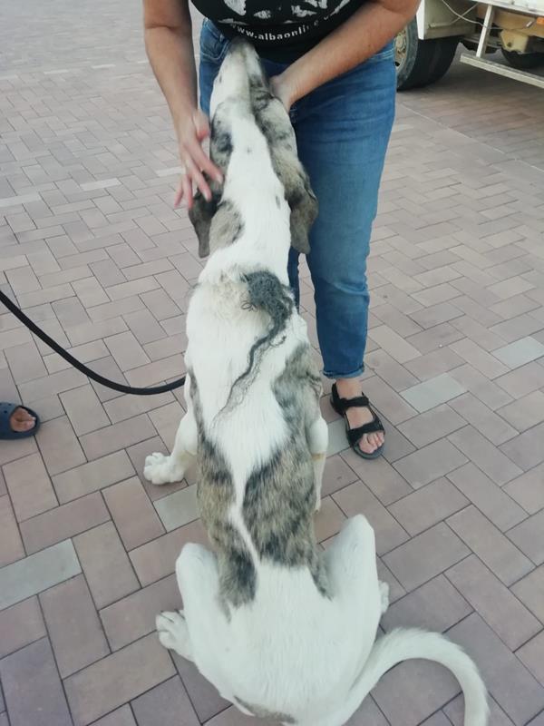 multimedia-foto60749-829-1