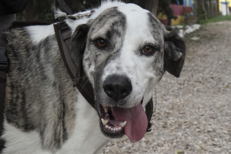 multimedia-foto60751-829-1