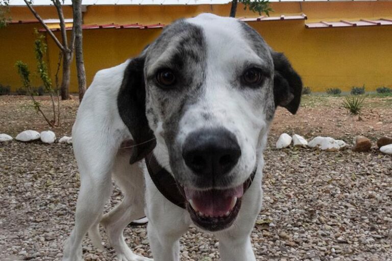 multimedia-foto60752-829-1