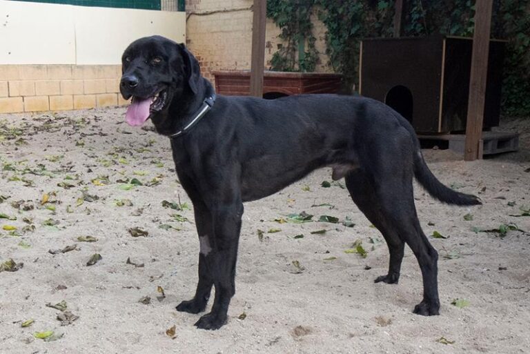 multimedia-foto60755-221-1