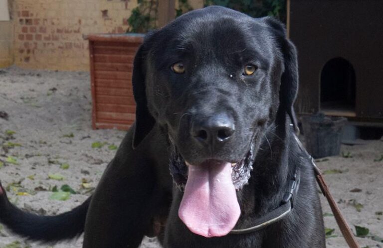 multimedia-foto60756-221-1