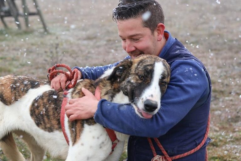 multimedia-foto60783-112-1