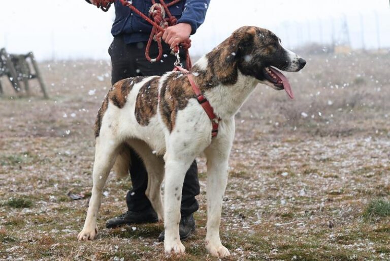 multimedia-foto60784-112-1