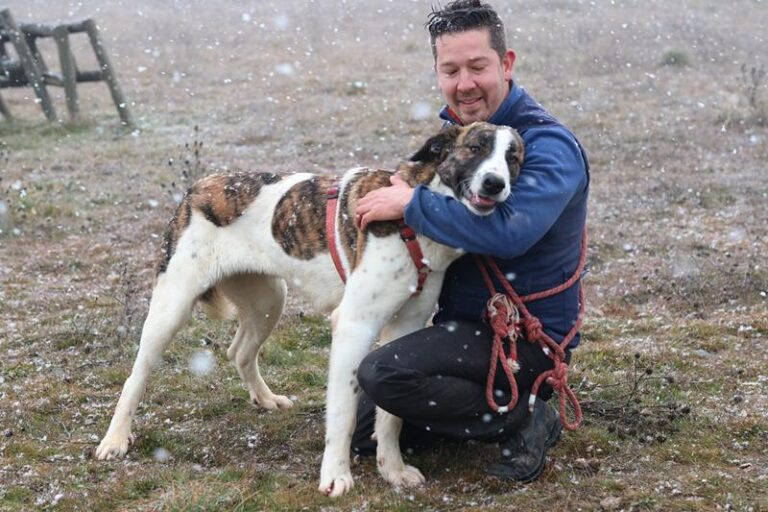 multimedia-foto60785-112-1