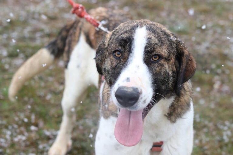 multimedia-foto60786-112-1