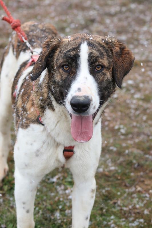 multimedia-foto60787-112-1