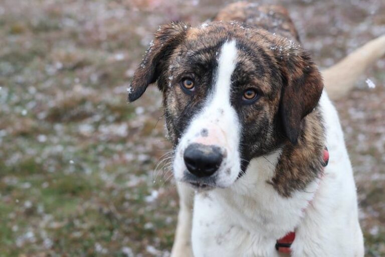 multimedia-foto60789-113-1