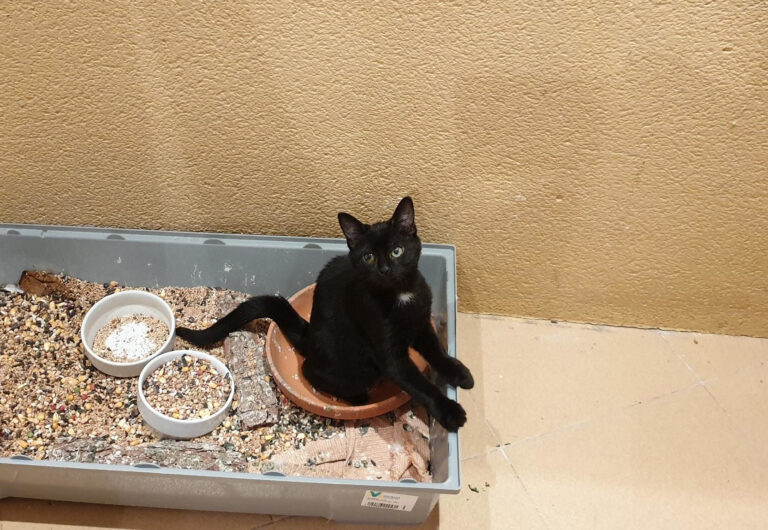 multimedia-foto60793-525-1