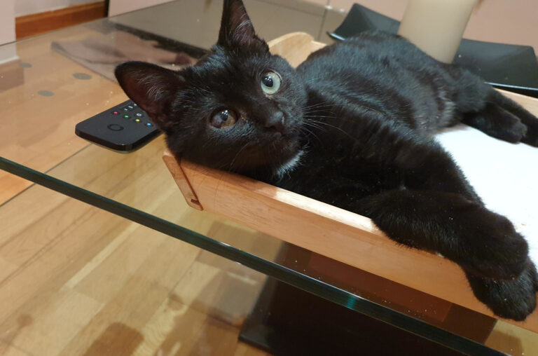 multimedia-foto60794-526-1