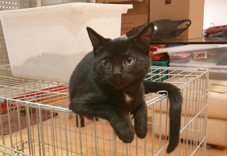 multimedia-foto60795-526-1