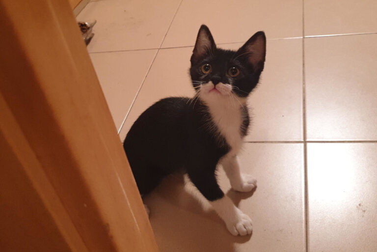 multimedia-foto60797-792-1