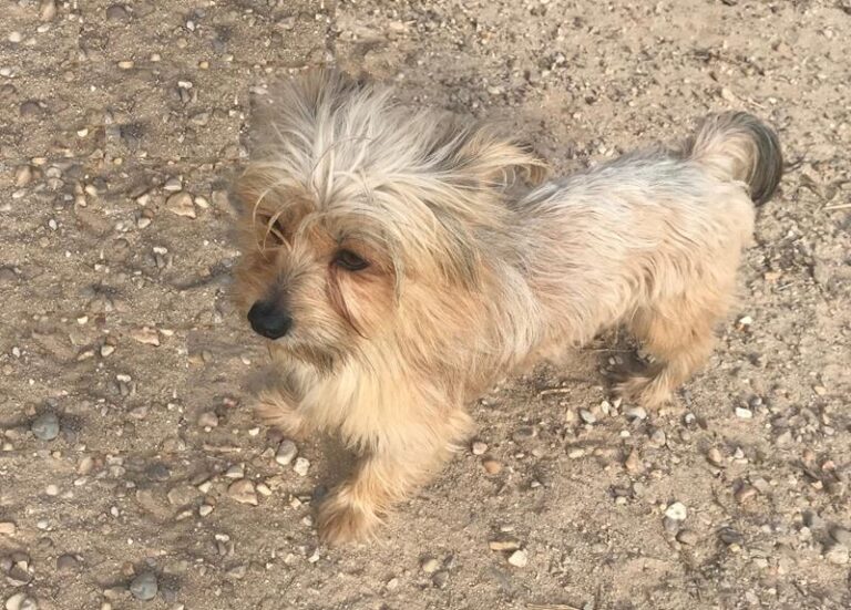 multimedia-foto60833-539-1