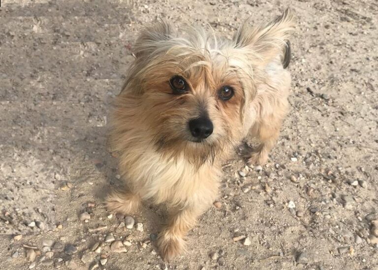 multimedia-foto60834-539-1