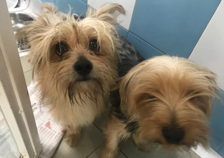 multimedia-foto60836-539-1