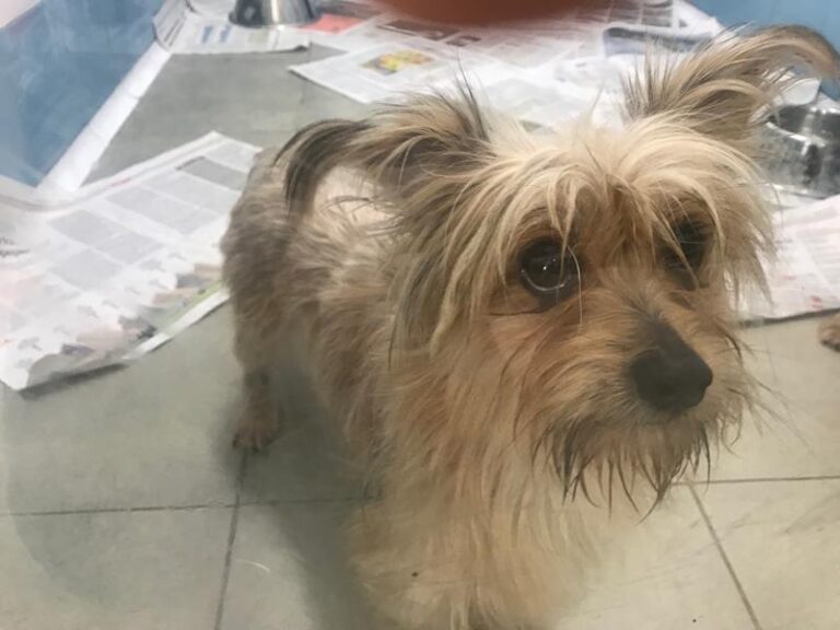 multimedia-foto60837-540-1