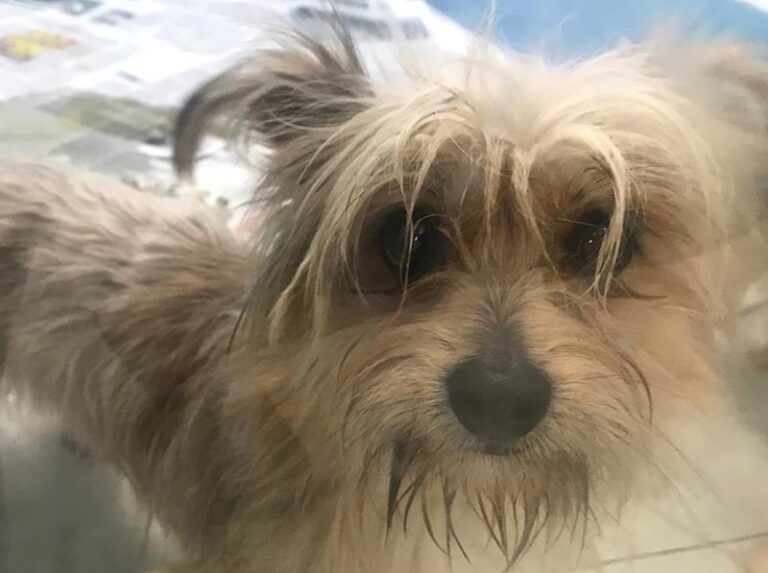 multimedia-foto60838-540-1