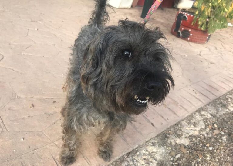 multimedia-foto60846-781-1