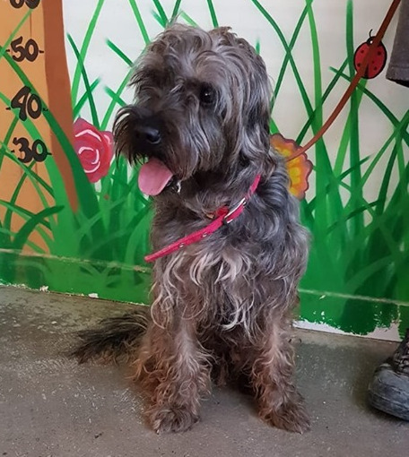 multimedia-foto60848-782-1