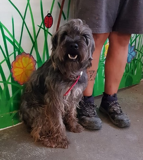 multimedia-foto60849-782-1