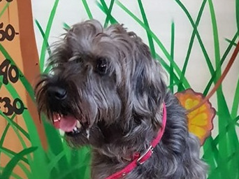 multimedia-foto60850-782-1