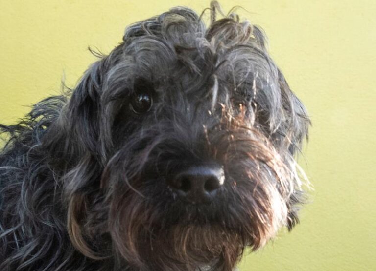 multimedia-foto60851-782-1