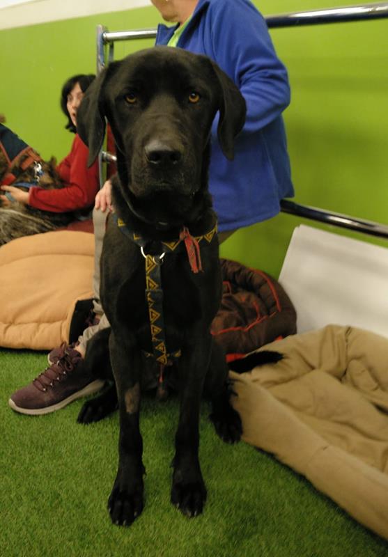 multimedia-foto60855-411-1