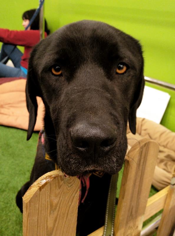 multimedia-foto60856-411-1