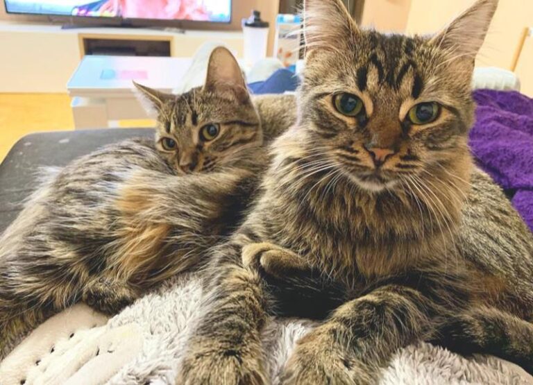 multimedia-foto60876-259-1