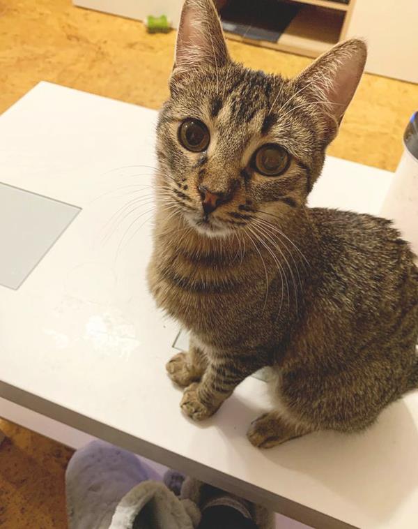 multimedia-foto60877-259-1