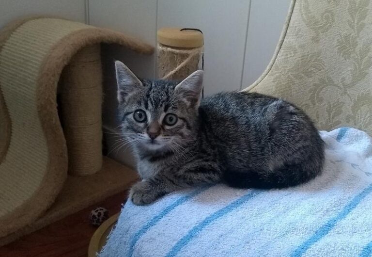 multimedia-foto60889-537-1