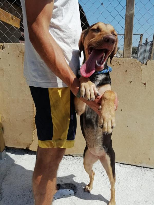 multimedia-foto60939-573-1