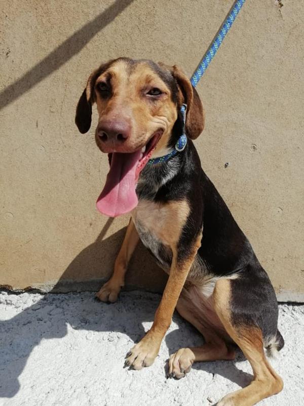 multimedia-foto60940-574-1