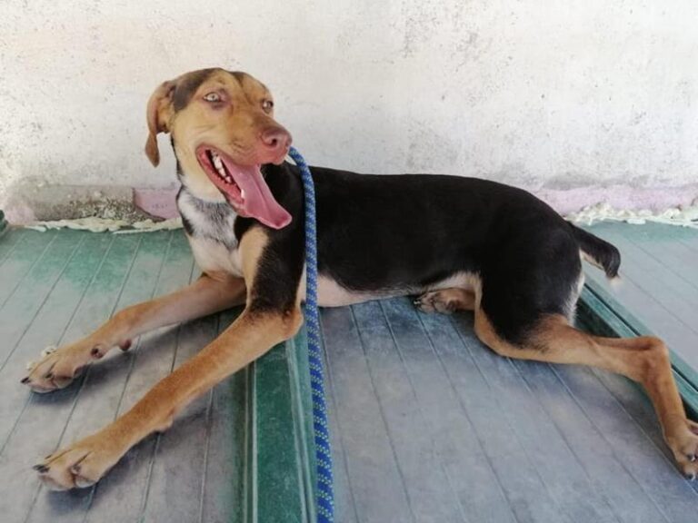 multimedia-foto60941-574-1