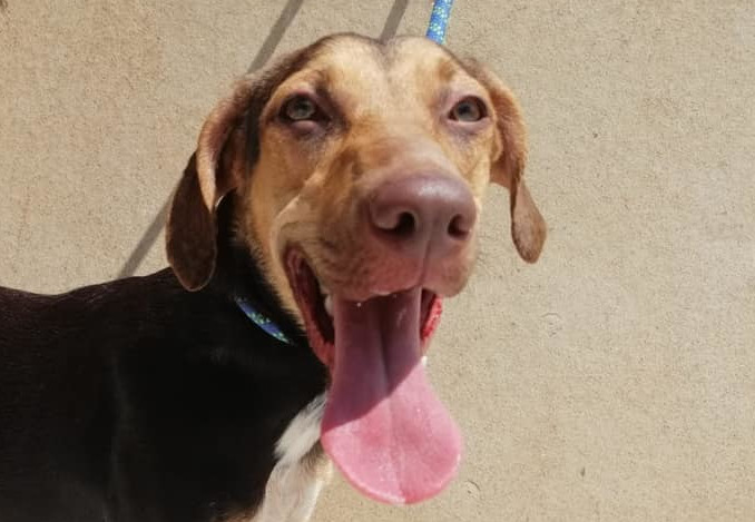 multimedia-foto60943-574-1